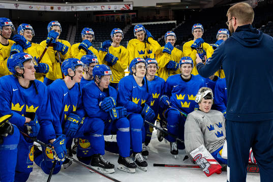 Players of Sweden