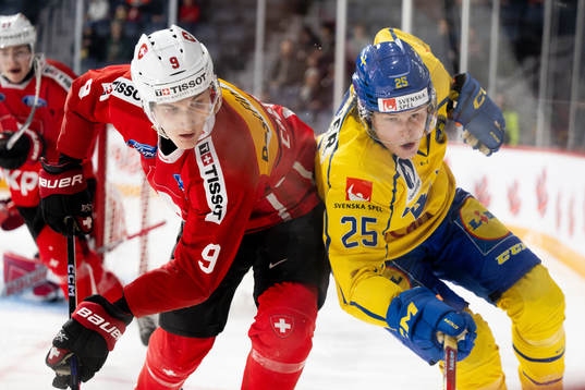 Brian Zanetti of Switzerland and Milton Oscarson of Sweden