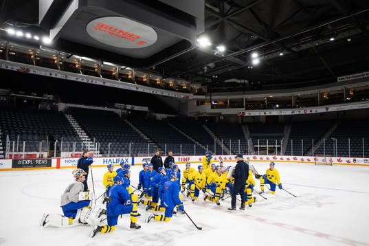 Players of Sweden