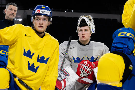 Fabian Wagner and goaltender Marcus Brännman of Sweden