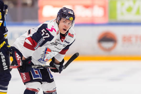 Linköpings Petrus Palmu