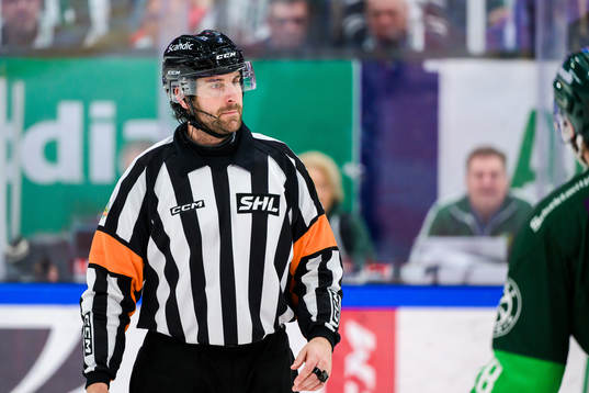 Domare Mikael Sjöqvist