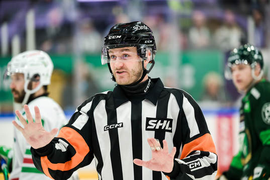 Domare Daniel Eriksson