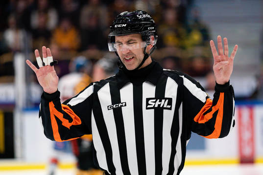 Domare Linus Öhlund