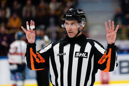 Domare Linus Öhlund