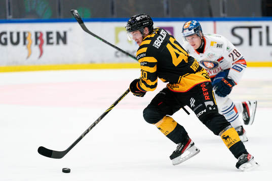 Skellefteås Andreas Wingerli och Växjös Hugo Gustafsson
