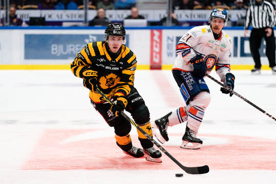 Skellefteås Andreas Wingerli och Växjös Brian Cooper