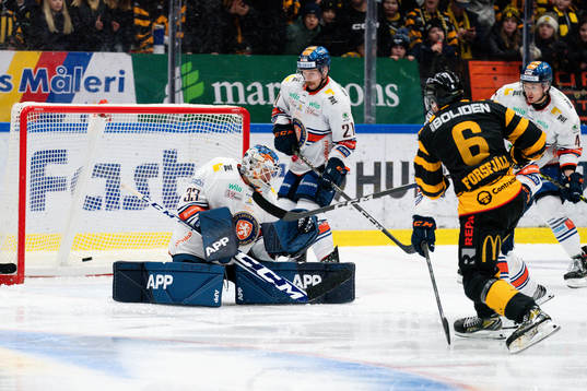 Skellefteås Måns Forsfjäll jublar