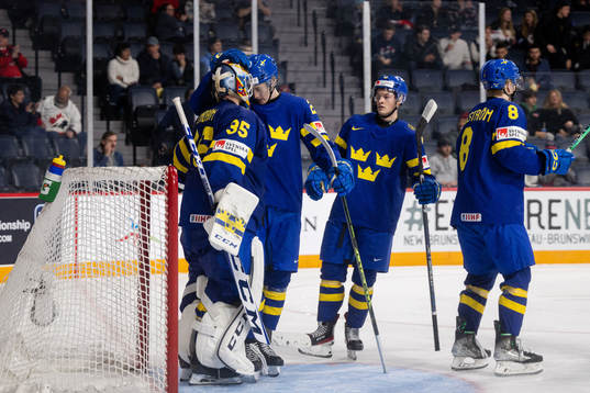 Goaltender Carl Lindbom, William Strömgren , Fabian Wagner