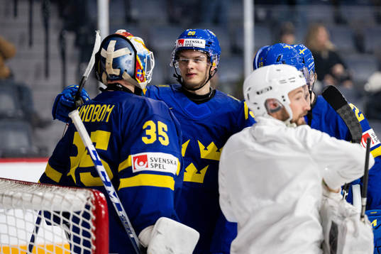 Goaltender Carl Lindbom and Simon Robertsson of Sweden