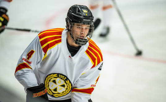 Brynäs Theo Lindstein