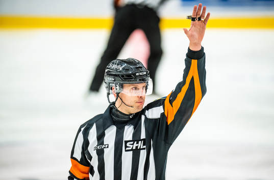Domare Johan Magnusson