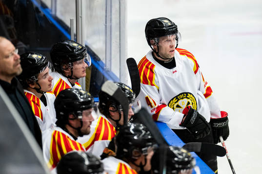 Brynäs Greg Scott deppar