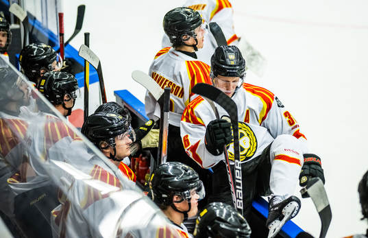 Brynäs Linus Ölund deppar