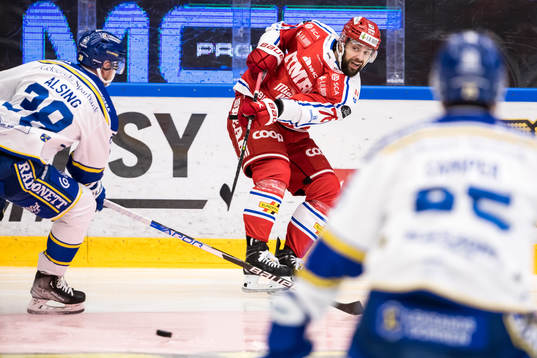 Timrås Robin Hanzl