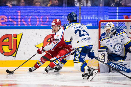 Timrås Anton Wedin och Leksands målvakt Mantas Armalis
