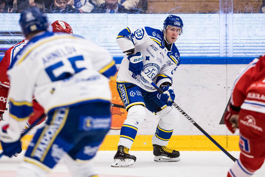 Leksands Mikael Ruohomaa