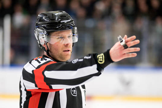 Domare Filip Sandstedt