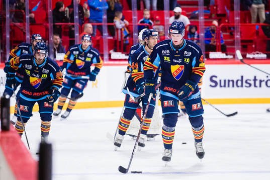 Djurgårdens spelare