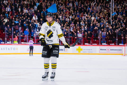 s William Ignberg Nilsson deppar