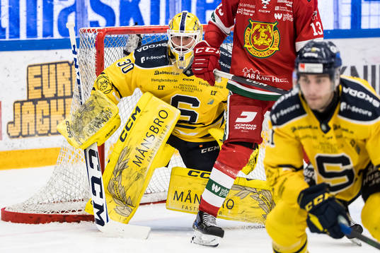 Södertäljes målvakt Fredrik Bergvik