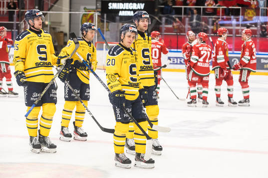 Södertäljes Viktor Lang och Nikola Pasic deppar