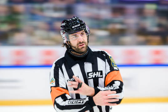 Domare Mikael Sjöqvist