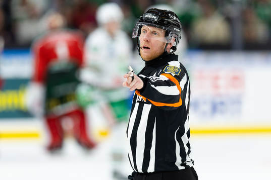 Domare Mikael Holm