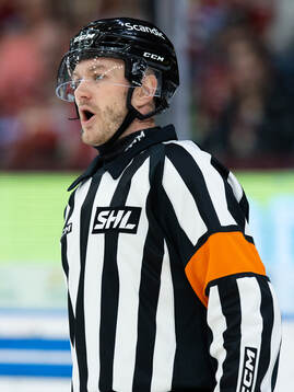 Domare Daniel Eriksson