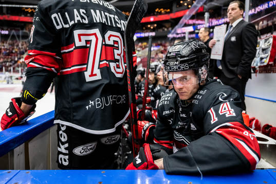 Malmö Redhawks Carl-Johan Lerby deppar i båset