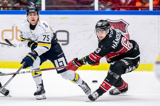 HV71s Radan Lenc och Malmö Redhawks Fredrik Händemark