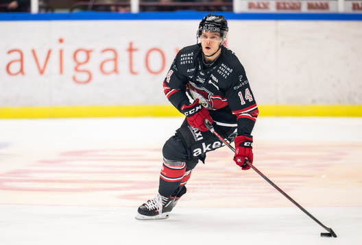 Malmö Redhawks Carl-Johan Lerby