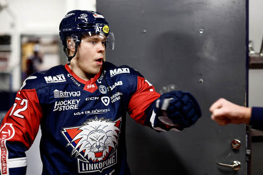 Linköpings Petrus Palmu