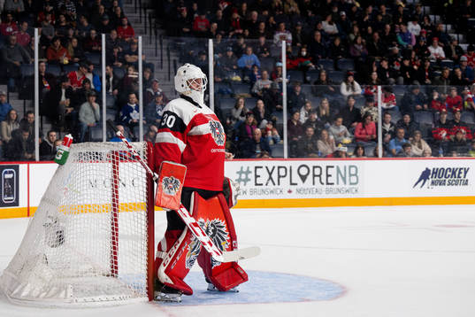 Goaltender Michael Sicher of Austria