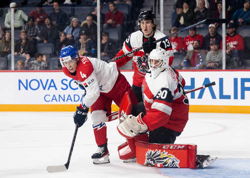 Jiri Tichacek of Czech Republic against Luca Auer and
