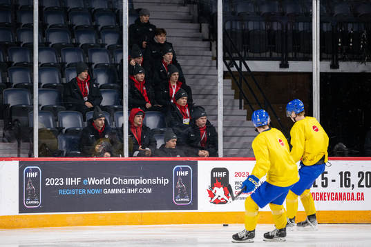Players of Austriaof in the stands
