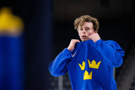 Ludvig Jansson of Sweden