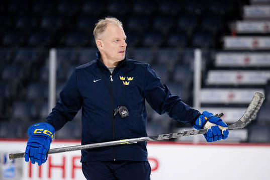 Magnus Hävelid, head coach of Sweden