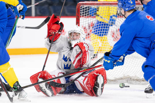 Goaltender Marcus Brännman of Sweden