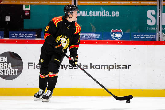 Brynäs Kevin Roy