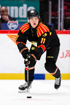 Brynäs Kevin Roy