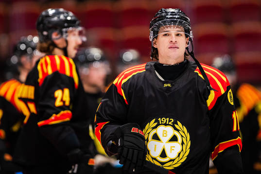 Brynäs Kevin Roy