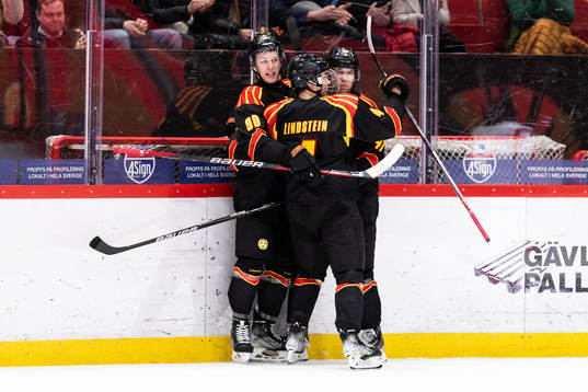 Brynäs David Sklenicka jublar med lagkamrater