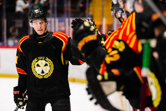 Brynäs David Sklenicka jublar