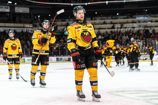 Luleås Einar Emanuelsson deppar