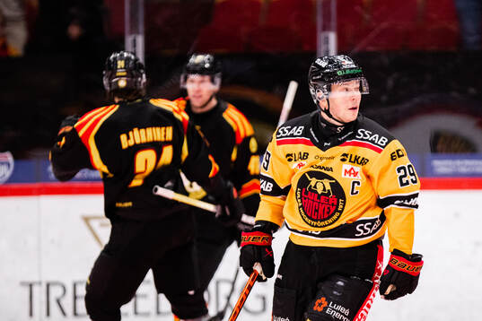 Luleås Erik Gustafsson deppar