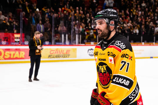 Luleås Linus Fröberg deppar