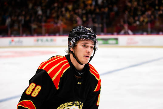 Brynäs Dmytro Timashov jublar