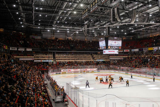 Monitor ERP Arena