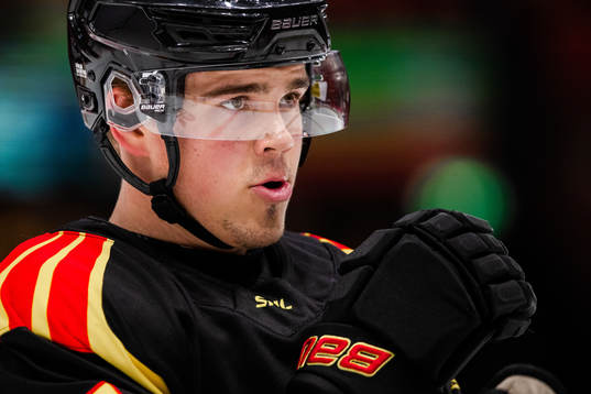 Brynäs Alexander Ljungkrantz